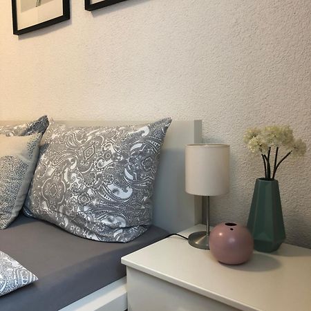 No2 Top Apartment4You - 3 Zimmer, 1-6 Pers, Saarbruecken - Jaegersfreude Saarbrücken Zewnętrze zdjęcie